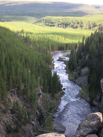 roadside scene, Yellowstone N.P.